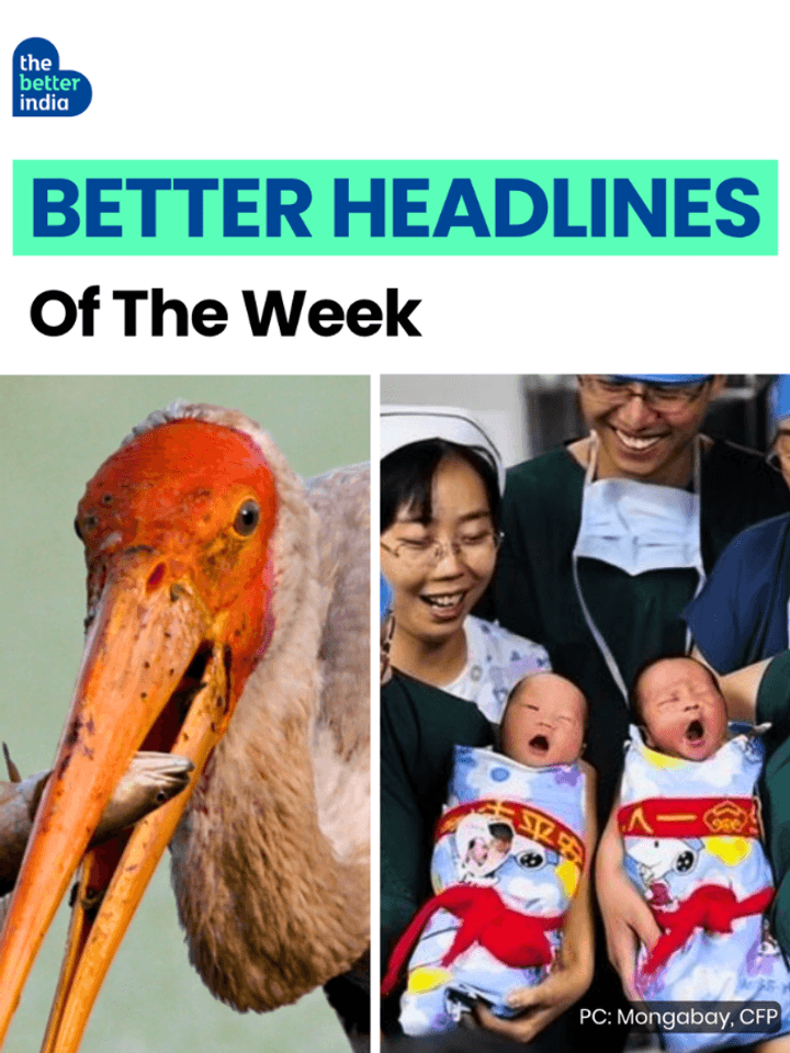 Better Headlines of the Week: Delhi Is a Bird City, Mangroves Are Growing Back & Whales Found in the Deep