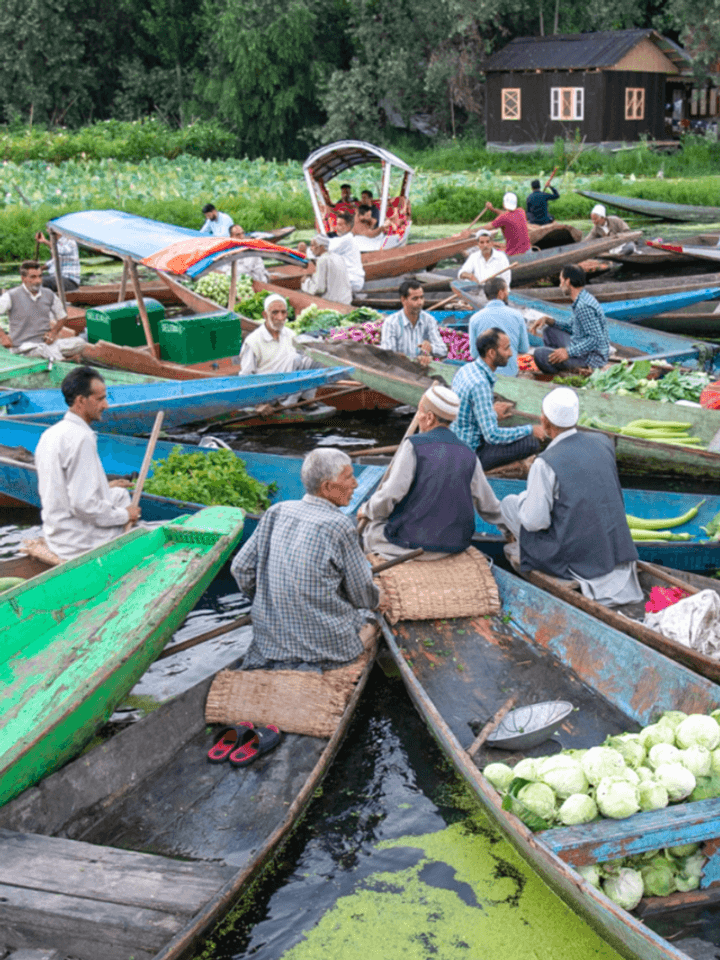 Why Hundreds of Shikaras Have Gathered on Dal Lake at 5 AM Every Morning for 600 Years