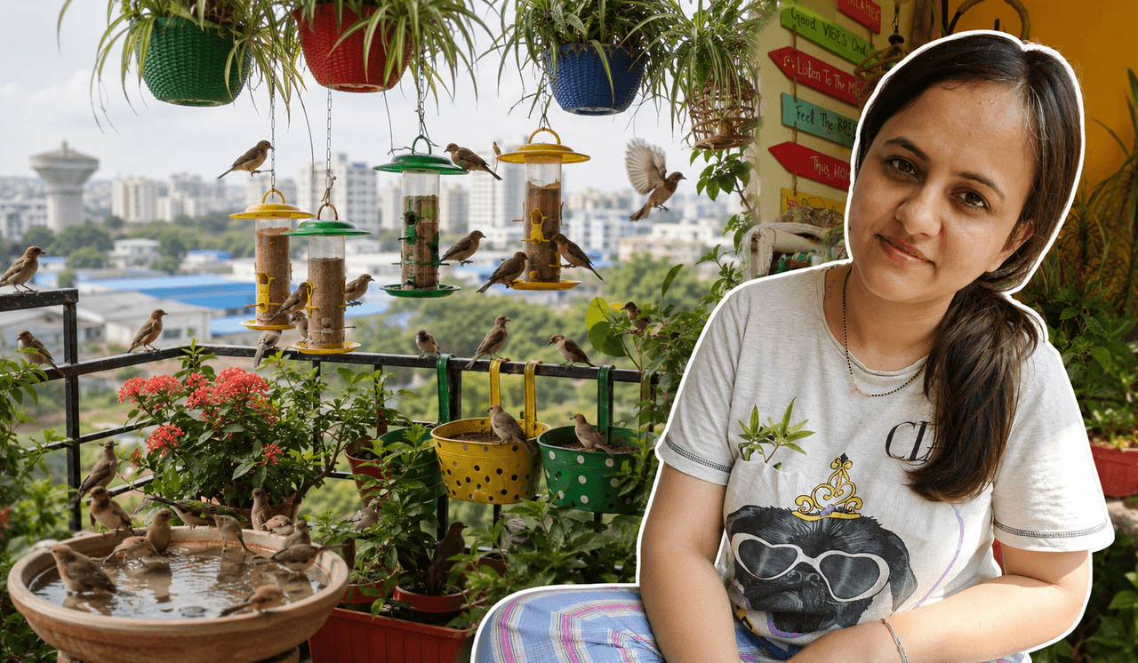 At 5 AM, 200 Birds Visit Her Noida Balcony. Here’s How She Made Them Feel Safe in a High-Rise Home