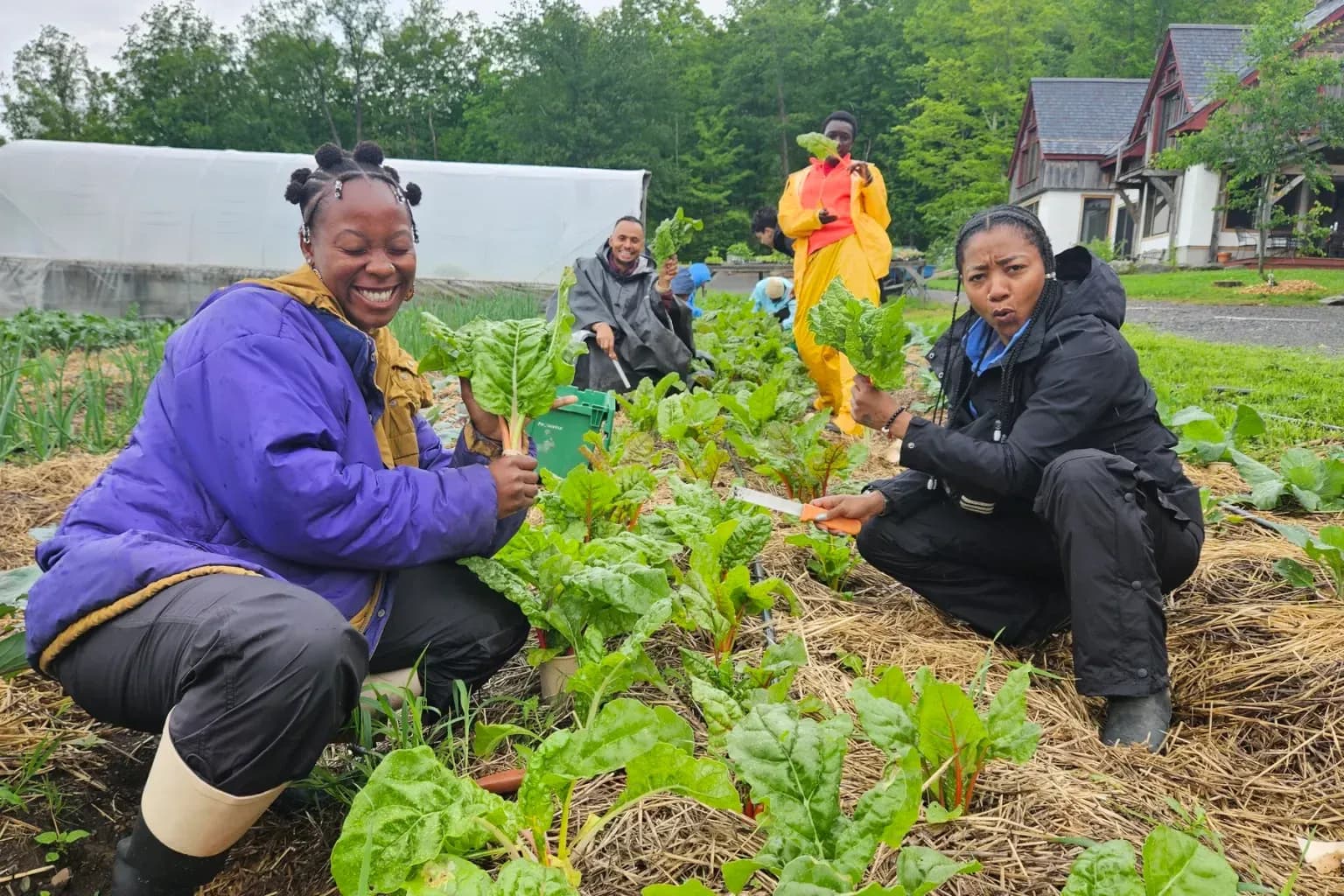 Black Women Farmers Are Reclaiming the Land