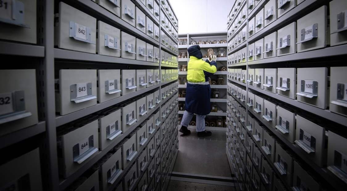 7.4 Mil. Plant and Fungi Samples Have Been Digitized to ‘Democratize Knowledge’ and Save Species