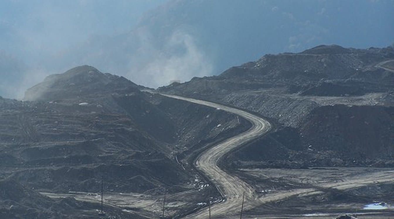 Loophole in Endangered Species Act Is Closed to Coal Miners After Court Ruling