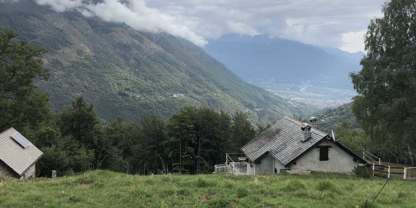 Italy’s Forest Cover is Larger Than Agriculture Land for the First Time Since the Middle Ages