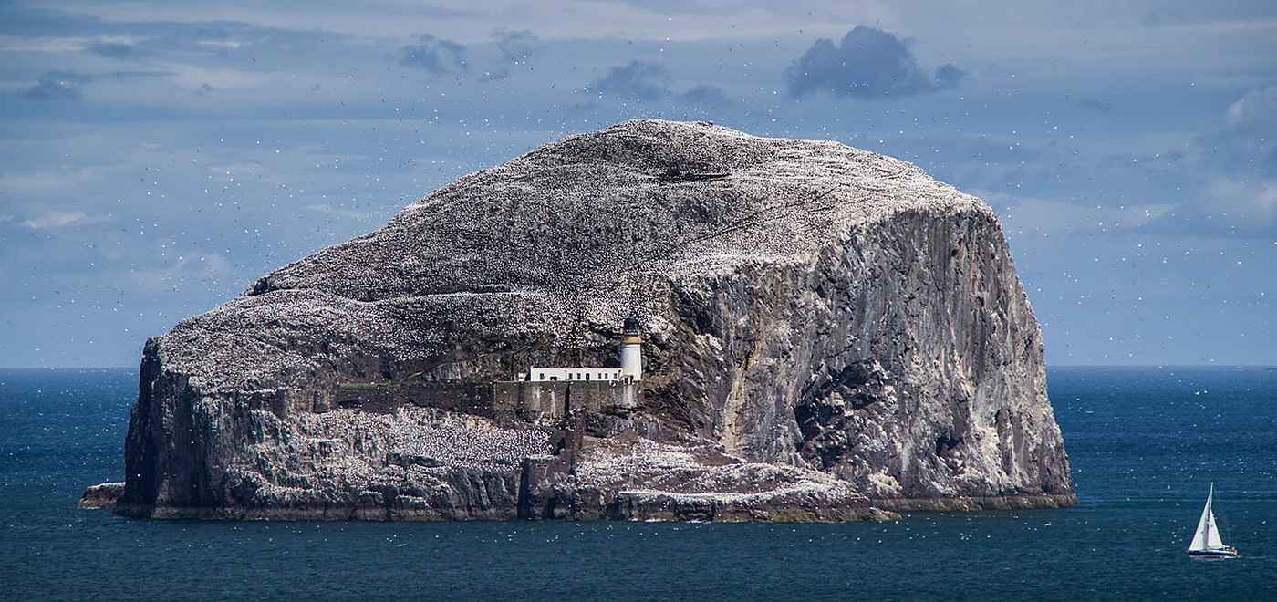 Family That Owned This ‘Wildlife Wonder of the World’ for 300 Years Sells Bass Rock to Protect 100,000 Seabirds