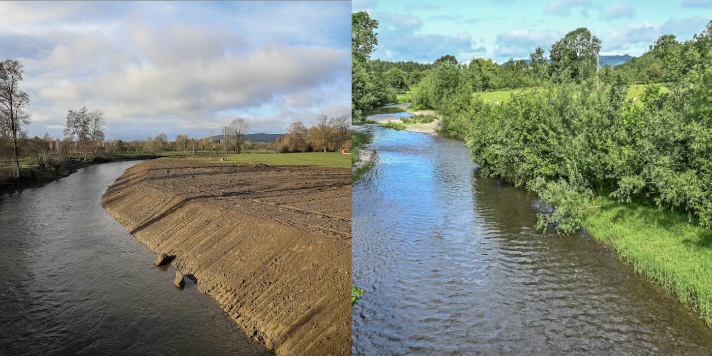 Nature’s Beauty is Restored After Farmer Obliterated Shoreline of Important Salmon Run