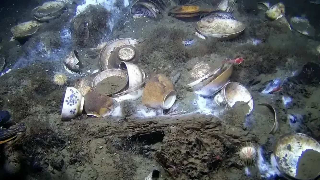 Shipwreck ‘Almost Beyond Belief’ Stunned Archaeologists with its Cargo of Intact Porcelain