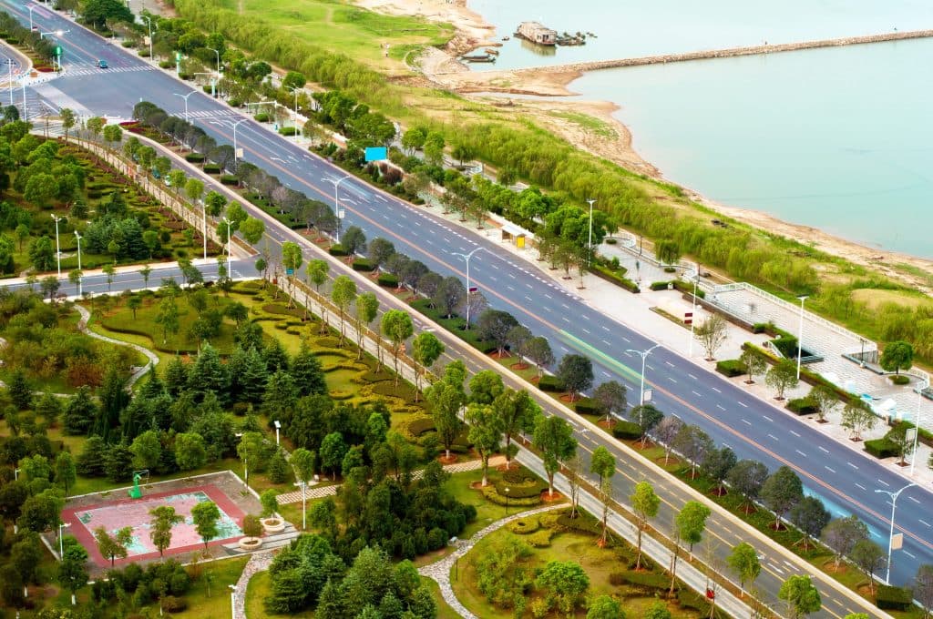 The urban cooling gap: why planting design matters as much as canopy count